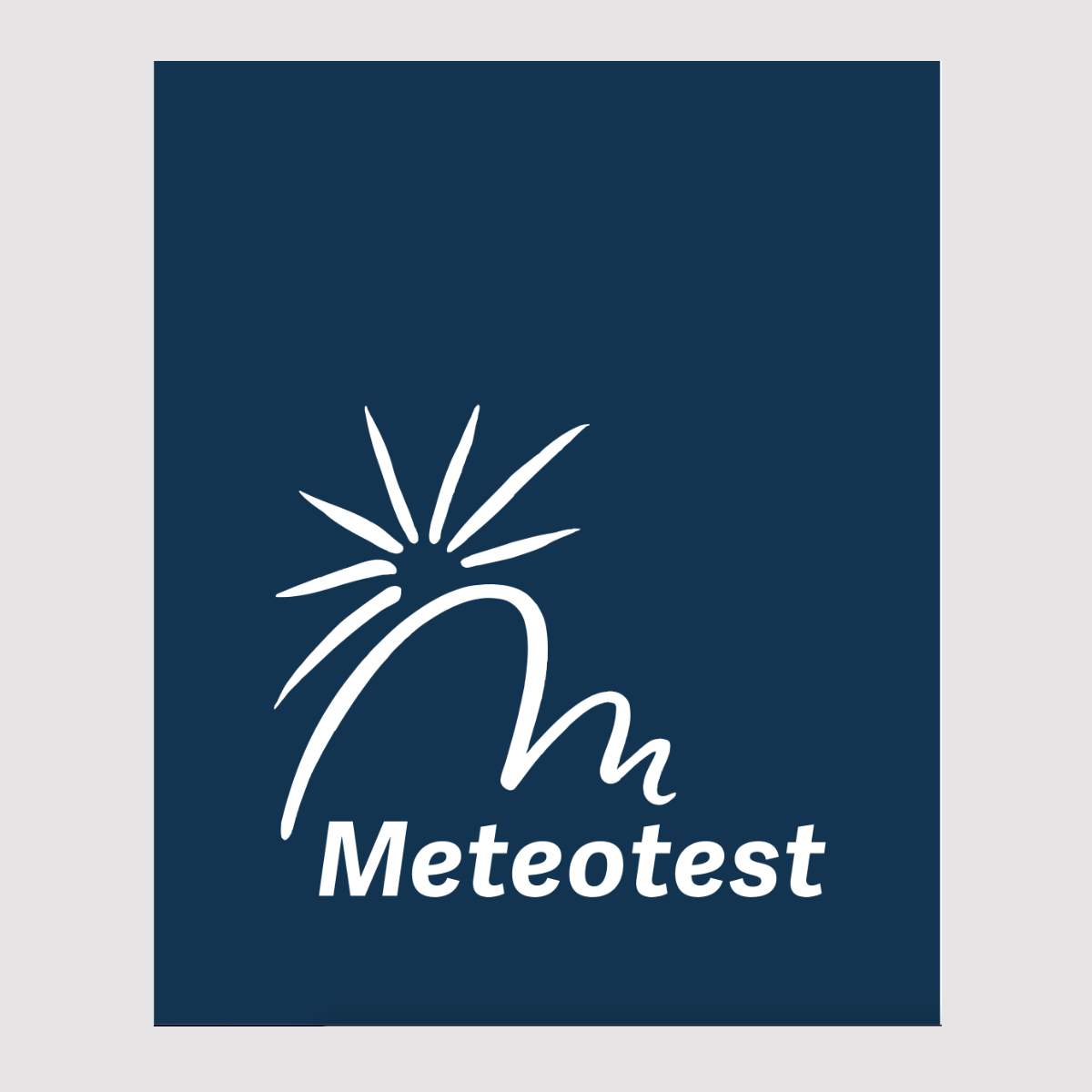 Logo Meteotest Bronze-Partner Smart City Verein Bern