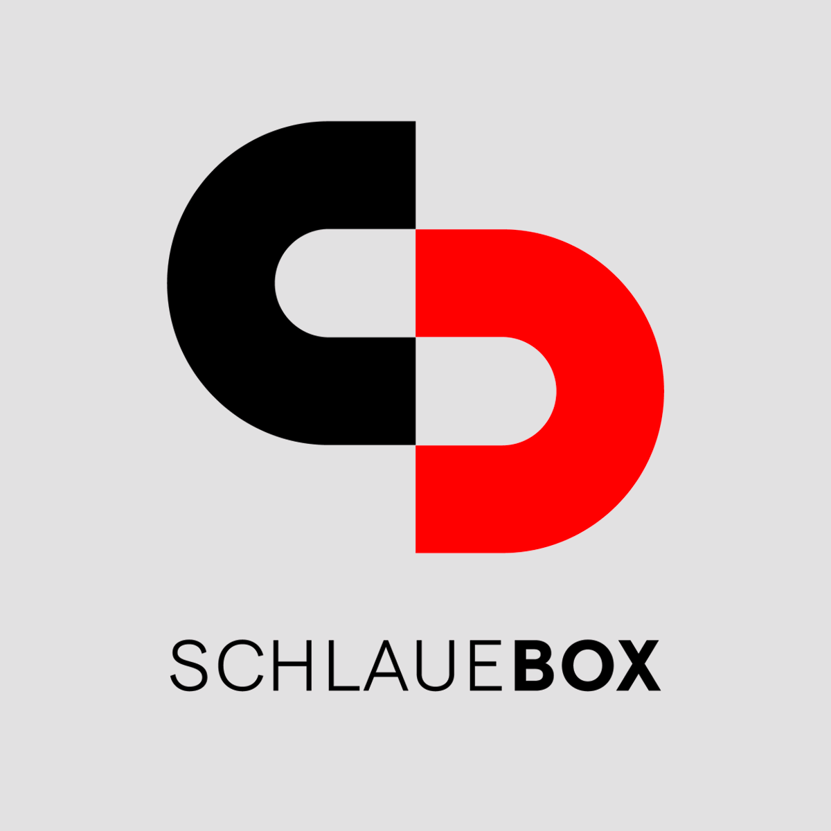 Schlaue Box Partner Smart City Verein Bern